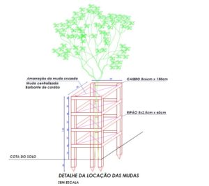 EM 30/06/2022, A SOTRAN CONCLUIU A ETAPA DE PLANTIO DE ÁRVORES DO PROJETO DE ARBORIZAÇÃO